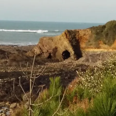 L'archipel - Vue Exceptionnelle Et Bassins Aquatiques Du 29 Avril Au 15 Sept Daire *