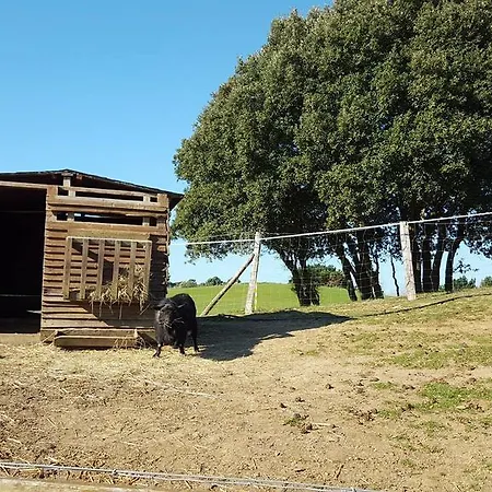 Daire L'archipel - Vue Exceptionnelle Et Bassins Aquatiques Du 29 Avril Au 15 Sept Talmont-Saint-Hilaire