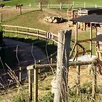 L'archipel - Vue Exceptionnelle Et Bassins Aquatiques Du 29 Avril Au 15 Sept Talmont-Saint-Hilaire