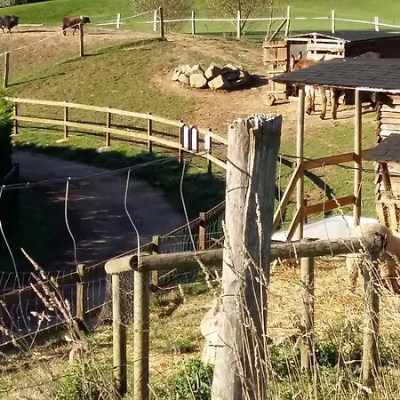 L'archipel - Vue Exceptionnelle Et Bassins Aquatiques Du 29 Avril Au 15 Sept Talmont-Saint-Hilaire