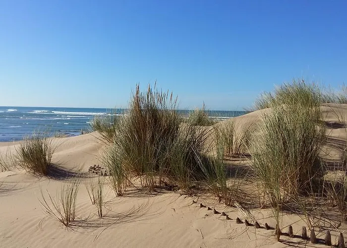 L'archipel - Vue Exceptionnelle Et Bassins Aquatiques Du 29 Avril Au 15 Sept