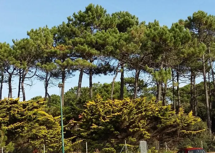 Lejlighed L'archipel - Vue Exceptionnelle Et Bassins Aquatiques Du 29 Avril Au 15 Sept